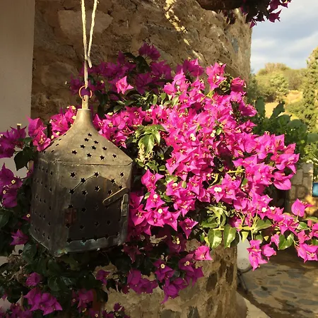 Hotel Villa Tokur-3