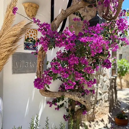 Hotel Villa Tokur-2